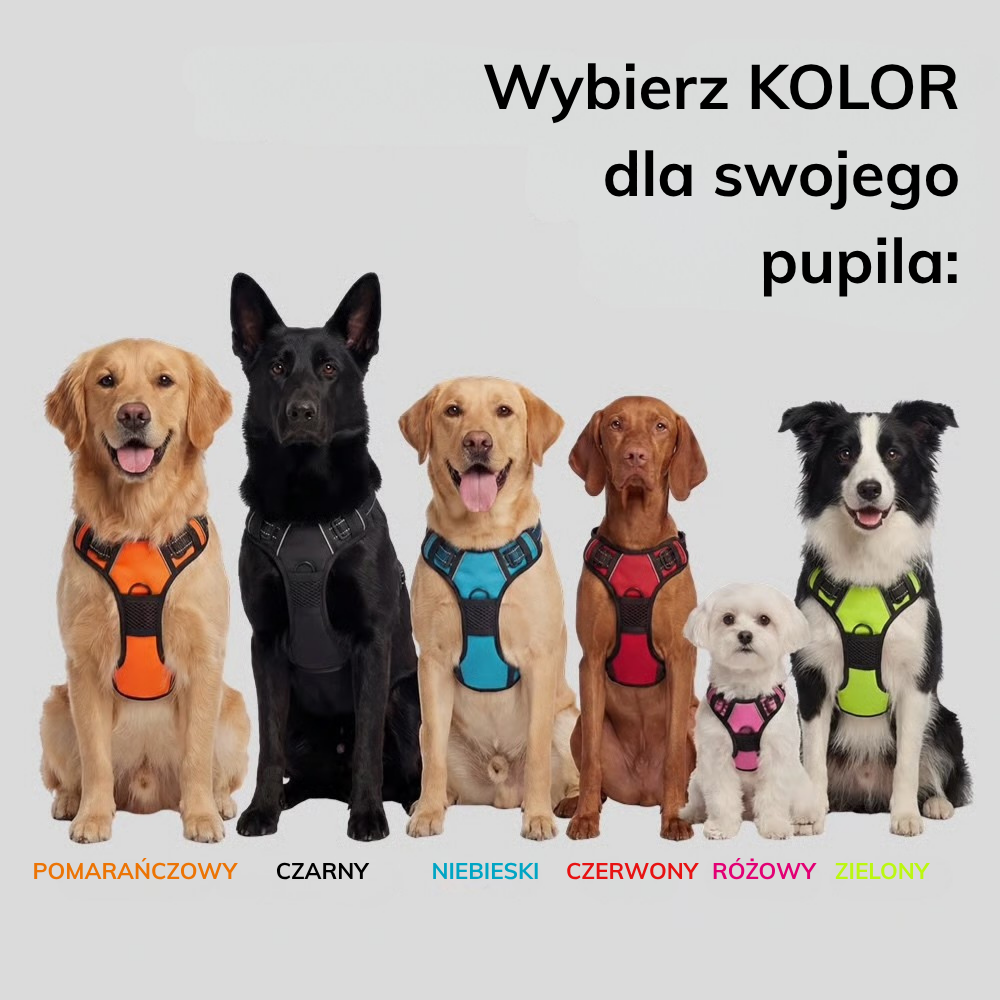 Szelki bezuciskowe przeciw ciągnięciu KROK